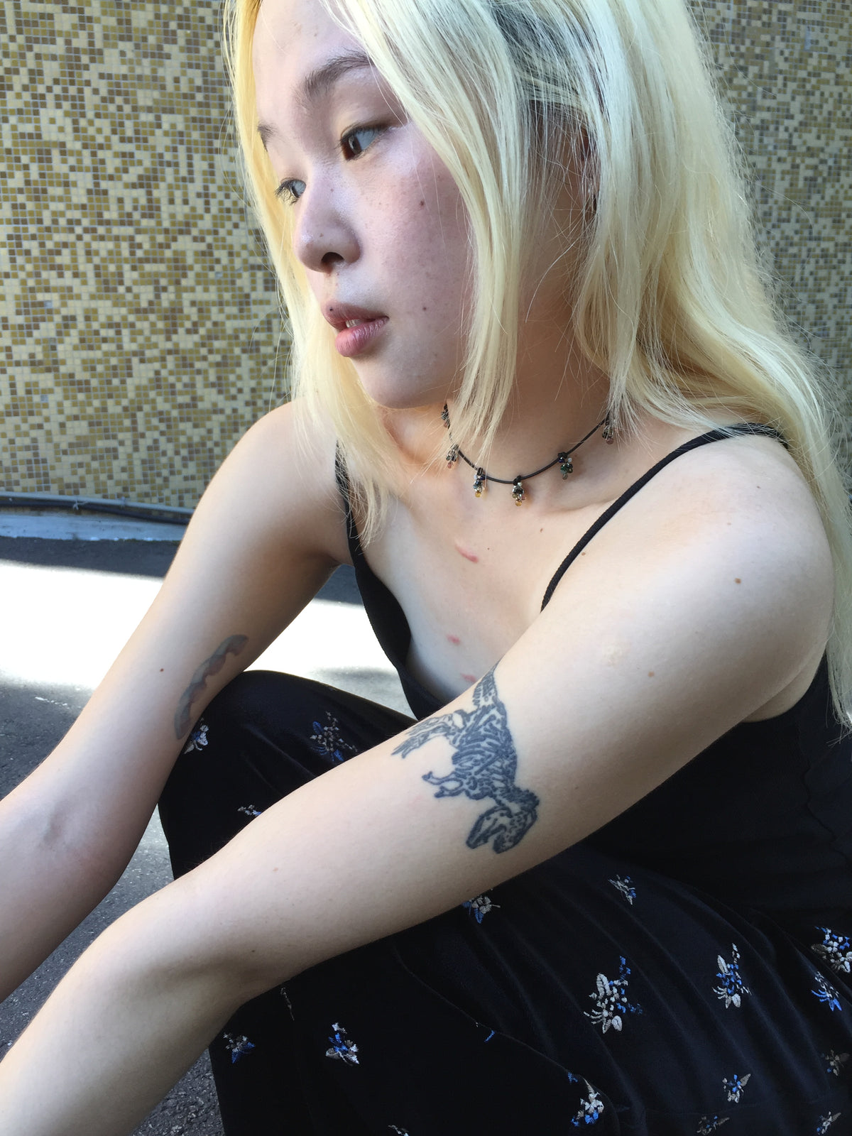 Petite In Aurora